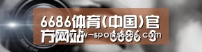 公司动态