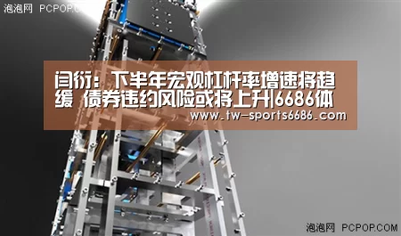 闫衍:下半年宏观杠杆率增速将趋缓 债券违约风险或将上升|6686体育(图3) 6686体育官网